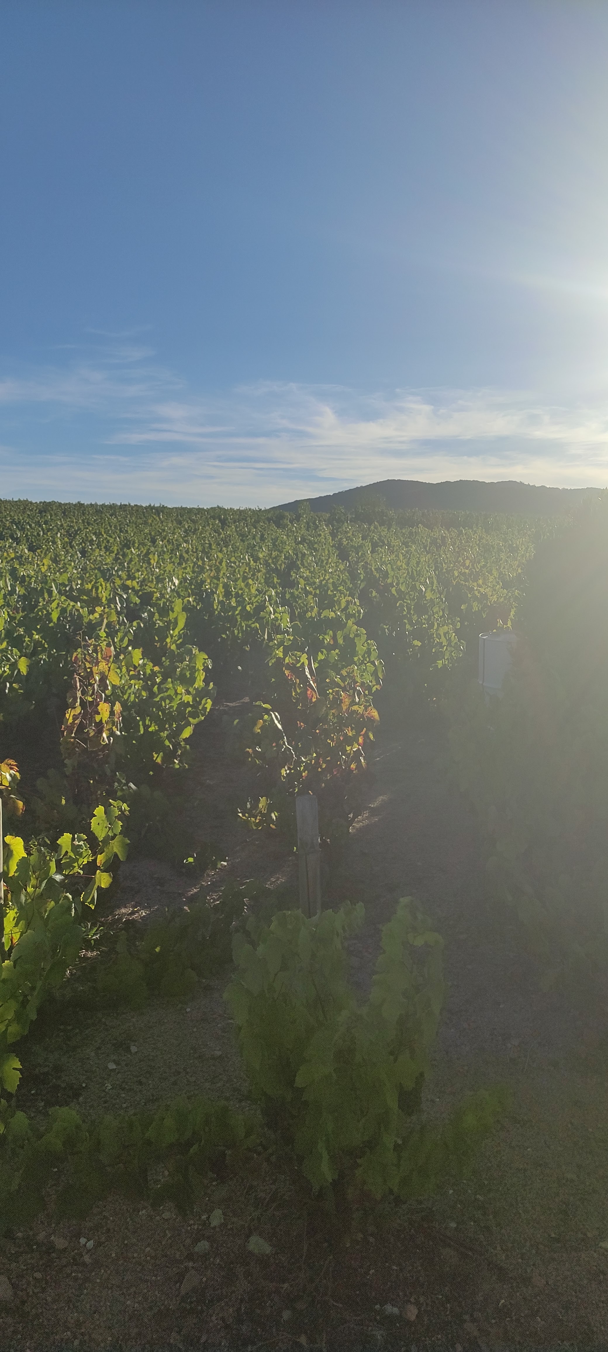 Photo n° 3 de l'avis de angella.l fait le 20/08/2022 à 17:43