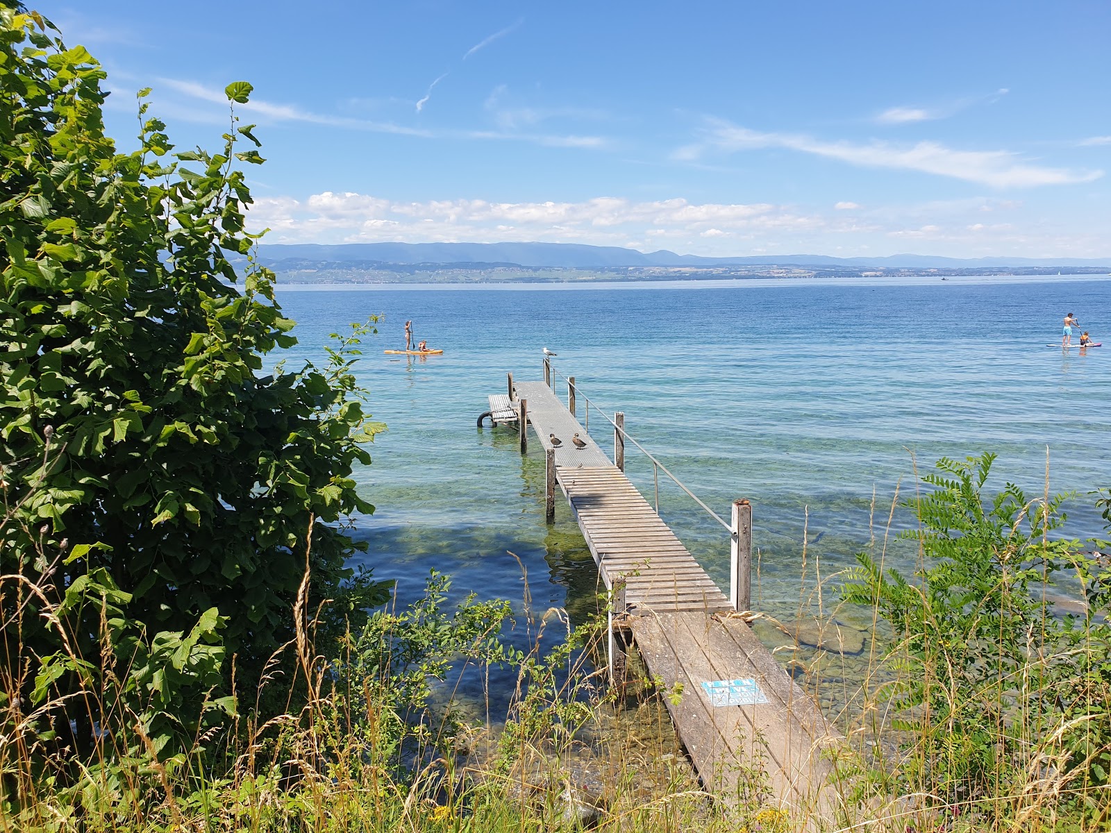 Plage Chantrell photo #9