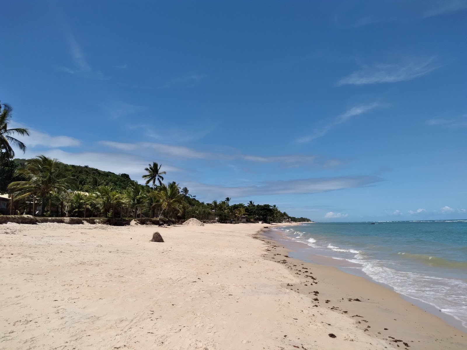 Foto de Praia da Pitinga com alto nível de limpeza