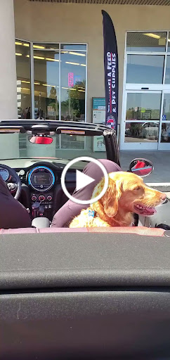 Pet Supply Store «Centinela Feed & Pet Supplies», reviews and photos, 4700 Pacific Coast Hwy, Long Beach, CA 90804, USA