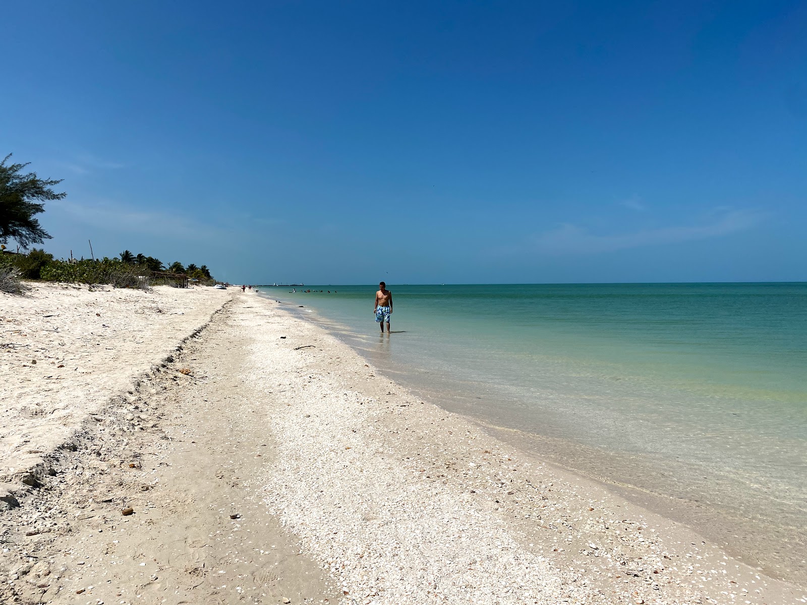 Foto de Playa Norte Celestún con recta y larga