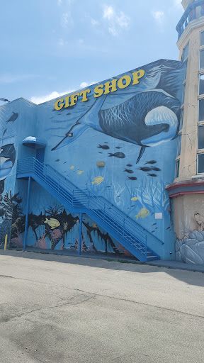 Gift Shop «Mermaid», reviews and photos, 7511 W Irlo Bronson Memorial Hwy, Kissimmee, FL 34747, USA