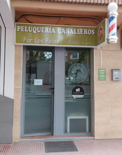 Peluquería Caballeros Por Los Pelos en Lorca, Murcia