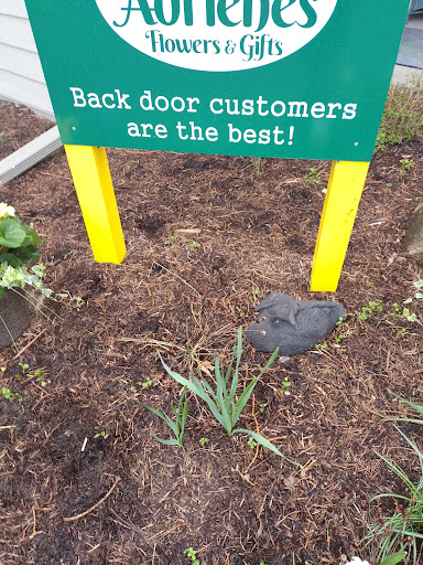 Florist «Adrienes Flowers & Gifts», reviews and photos, 1249 Conner St, Noblesville, IN 46060, USA