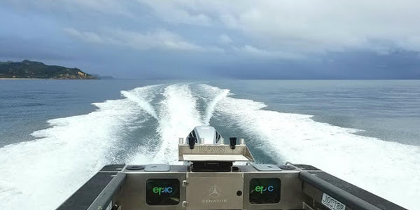 Epic Adventures Fishing Charters