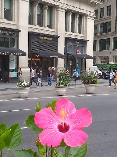 Park «Madison Square Park», reviews and photos, 11 Madison Ave, New York, NY 10010, USA