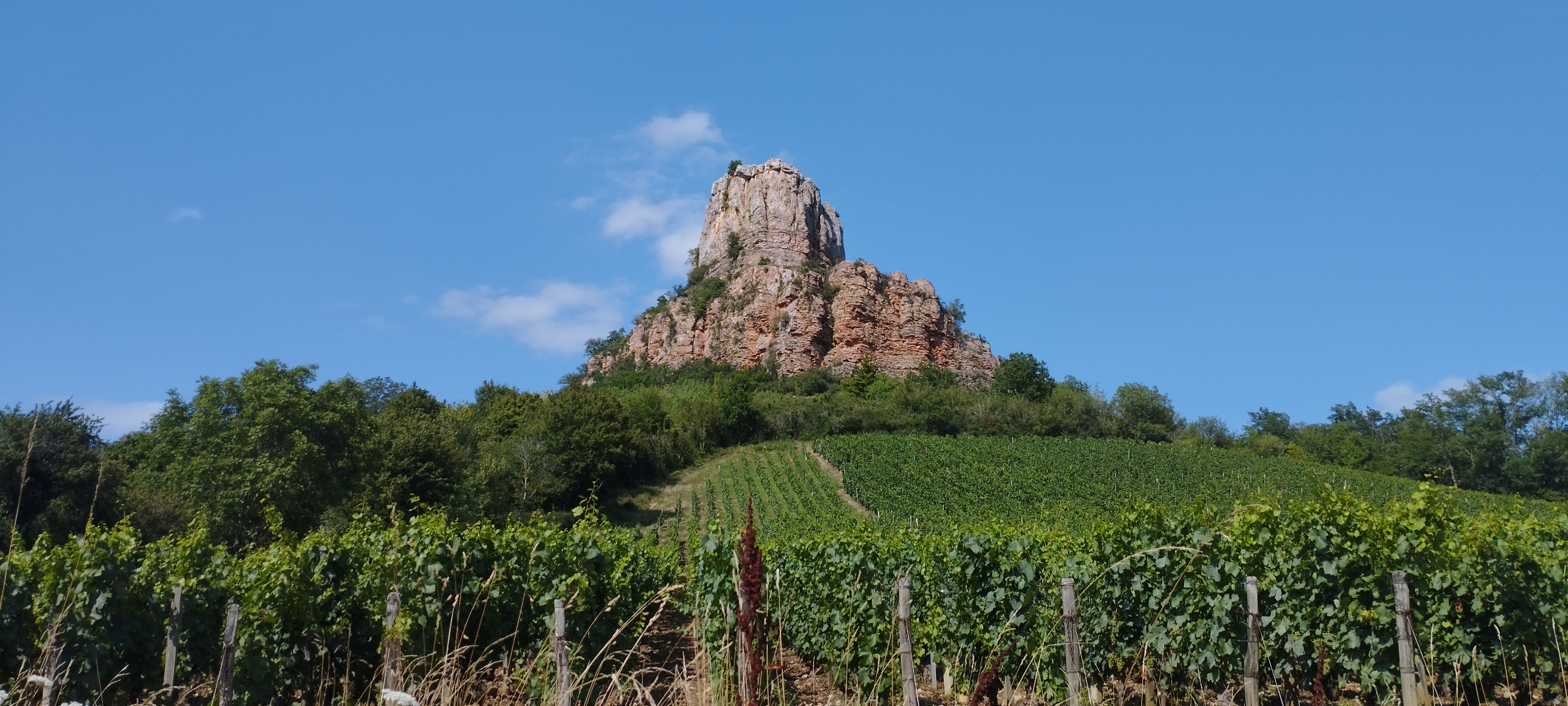 Photo n° 4 de l'avis de Bertrand.a fait le 11/08/2023 à 18:47
