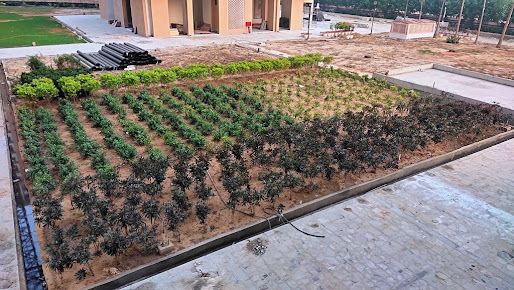 Google Maps image 21