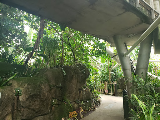Zoo «Rainforest Pyramid», reviews and photos, 1 Hope Blvd, Galveston, TX 77554, USA