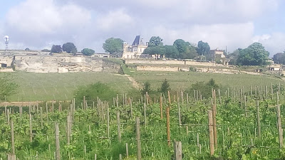 Château Saint Georges - Côte Pavie à Saint-Émilion
