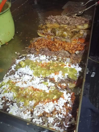 Kochy Gloton Huaraches