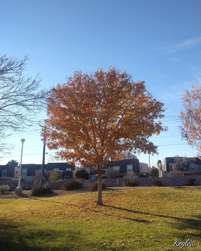 Recreation Center «Cambridge Recreation Center», reviews and photos, 3930 Cambridge St, Las Vegas, NV 89119, USA