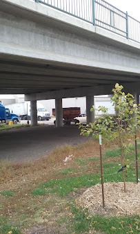 D P Terminal Inc - Photo 5 - Car repair in Fargo, ND, Fargo