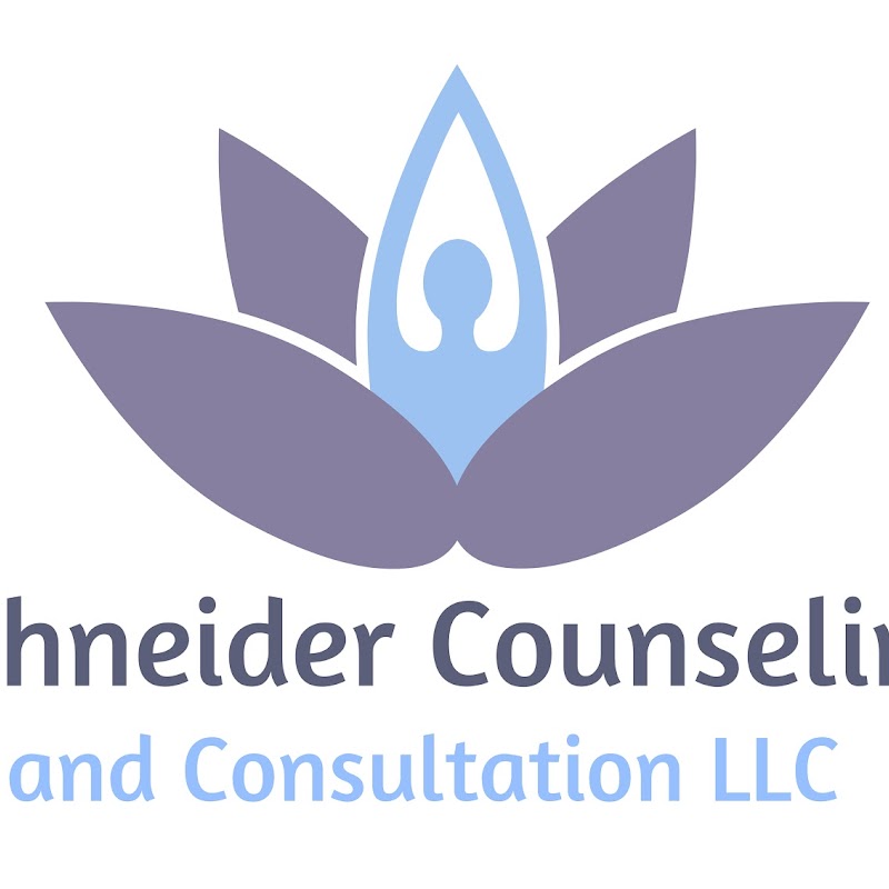 Schneider Counseling and Consultation LLC