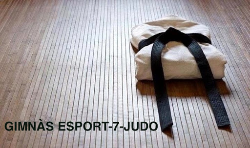 Gimnàs-Judo Esport 7 en Manresa, Barcelona