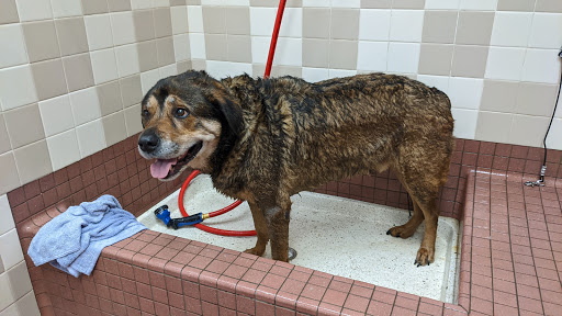 Pet Supply Store «Pet Food Express», reviews and photos, 2158 Contra Costa Blvd, Pleasant Hill, CA 94523, USA