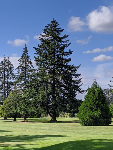 Golf Course «Santiam Golf Club Inc», reviews and photos, 8724 Golf Club Rd SE, Aumsville, OR 97325, USA