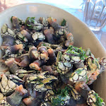 Photo n°7 de l'avis de Pietro.a fait le 16/10/2020 à 19:39 sur le  Ribeira do Poço à Vila do Bispo