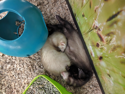 Pet Supply Store «Petco Animal Supplies», reviews and photos, 20111 US-19 #201c, Cranberry Twp, PA 16066, USA