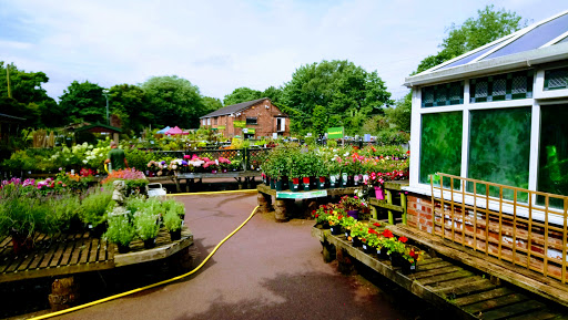 Golden Days Garden Centre