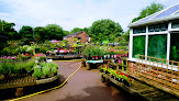 Golden Days Garden Centre