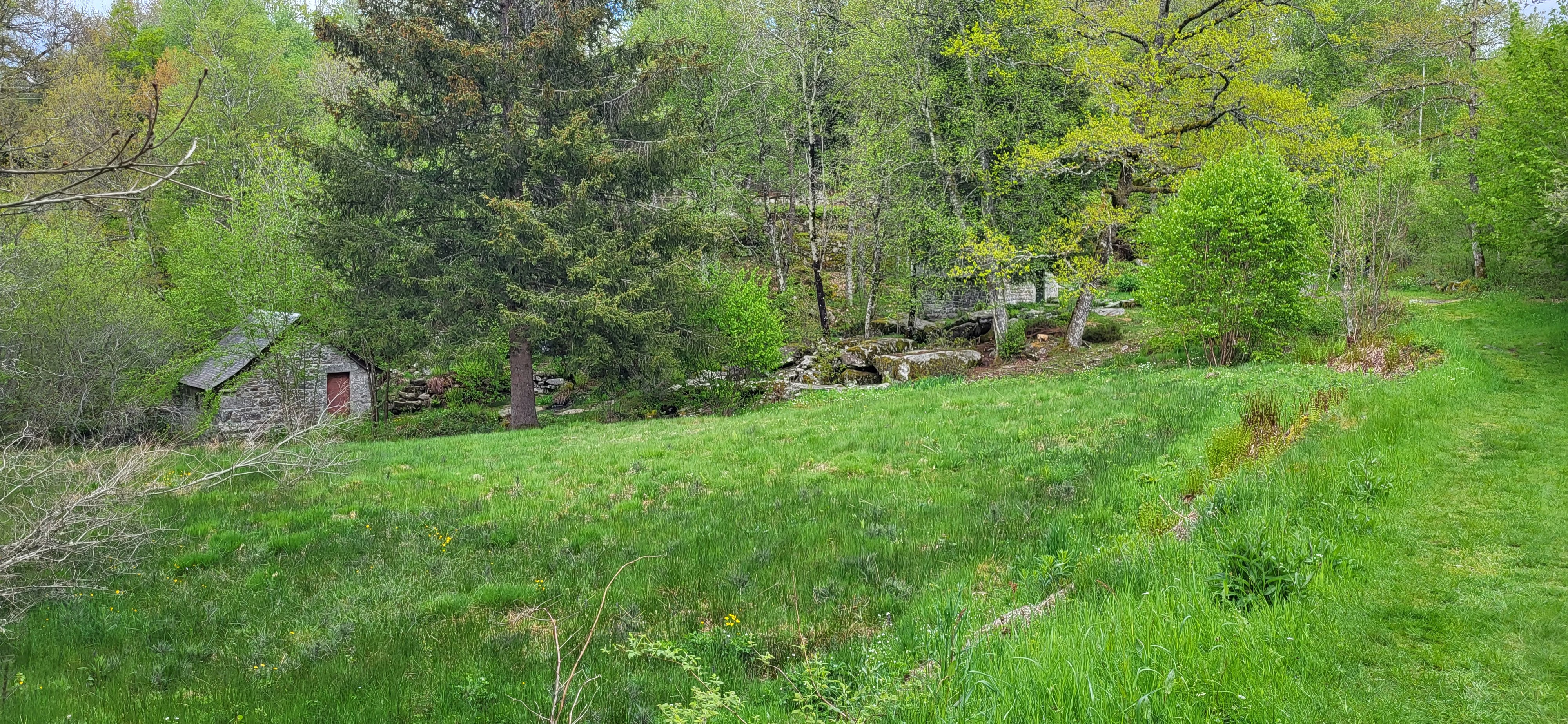 Photo n° 2 de l'avis de Christophe.e fait le 25/05/2023 à 19:09