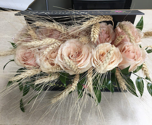 Florist «Crazy Daisy», reviews and photos, 4076 Hylan Blvd, Staten Island, NY 10308, USA