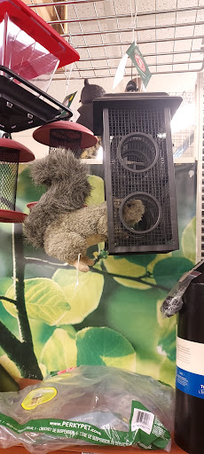 Hardware Store «Rocking R Ace Hardware», reviews and photos, 1030 S High St, Harrisonburg, VA 22801, USA