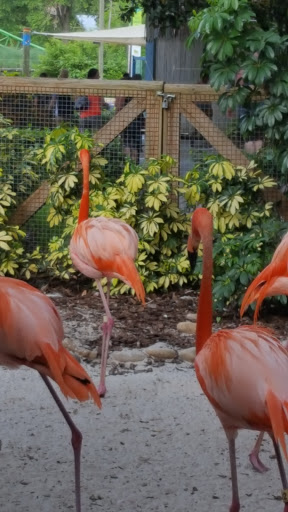 Tourist Attraction «Busch Gardens Main Entrance», reviews and photos, 9449 N 40th St, Tampa, FL 33617, USA