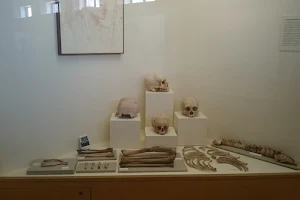 Museo Contisuyo image