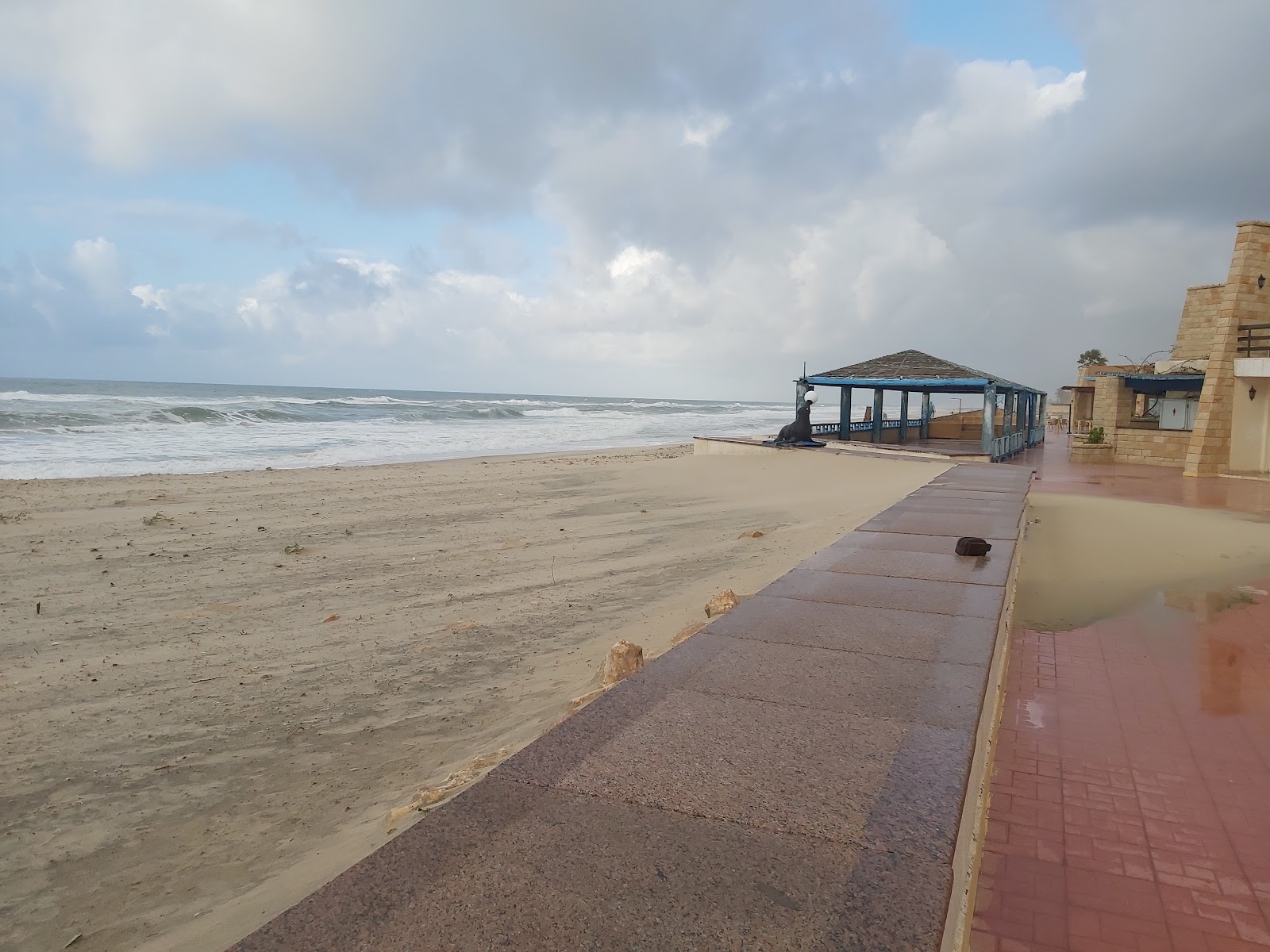 Shokry Al Kotaly Beach'in fotoğrafı - rahatlamayı sevenler arasında popüler bir yer