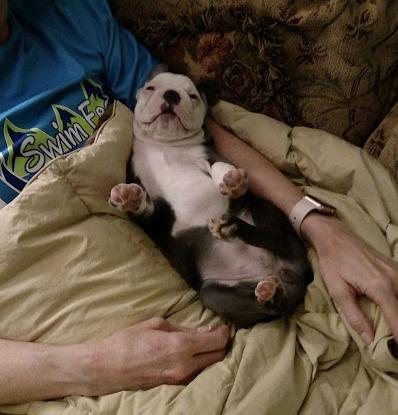 Insurance Agency «Allstate Insurance Agent: Scott A. Bresnahan», reviews and photos