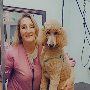All About Dogs Grooming Salon