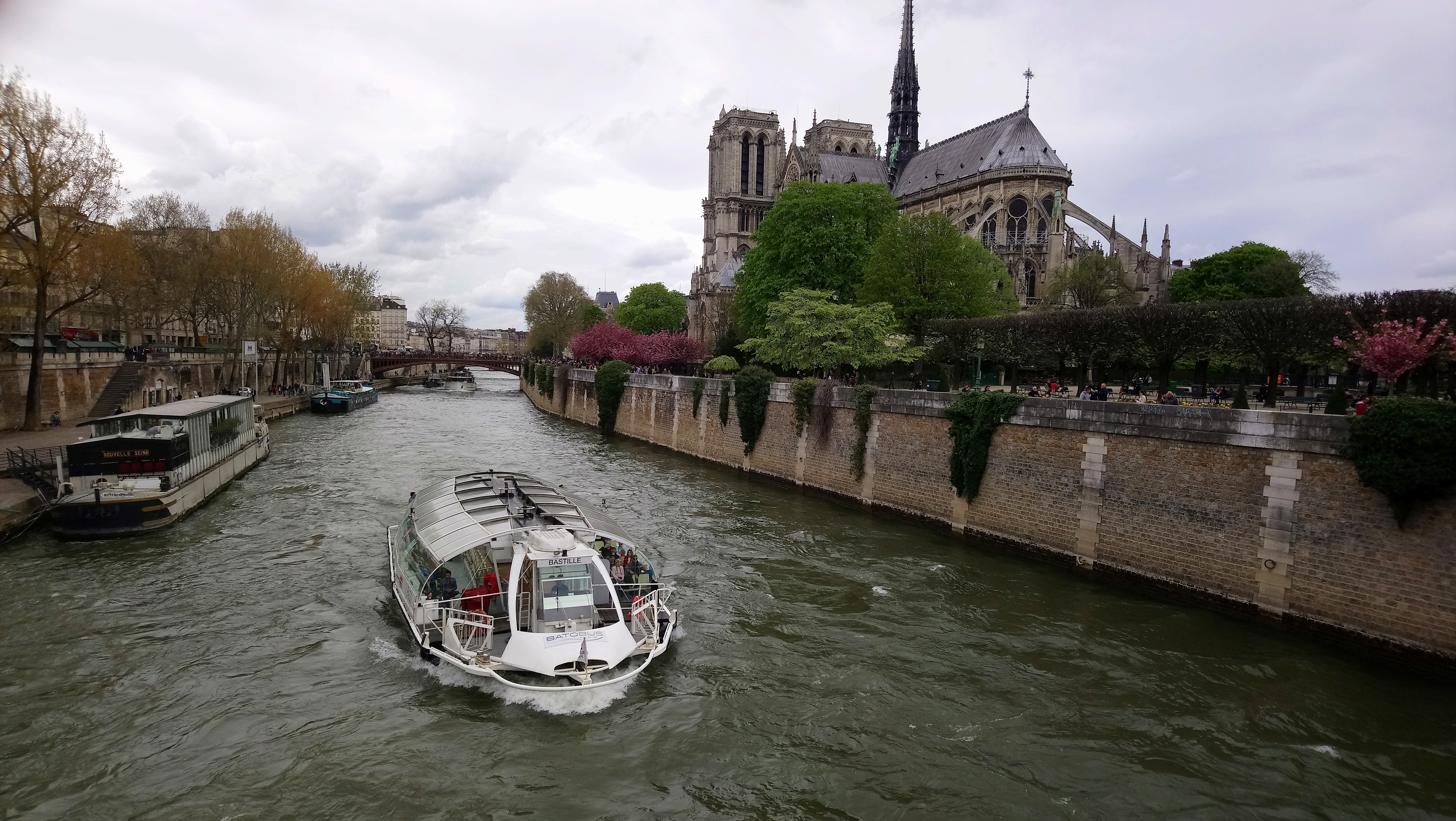 Photo n° 1 de l'avis de Némésis. fait le 19/04/2018 à 12:35