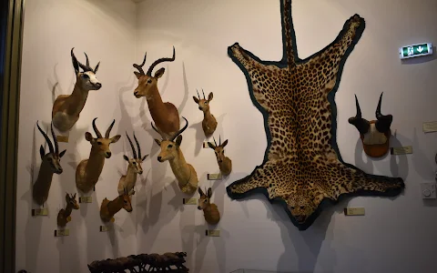 Hunting Museum image