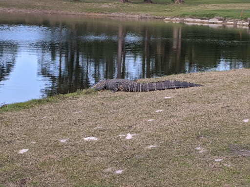 Golf Club «Majors Golf Club», reviews and photos, 3425 Bayside Lakes Blvd SE, Palm Bay, FL 32909, USA