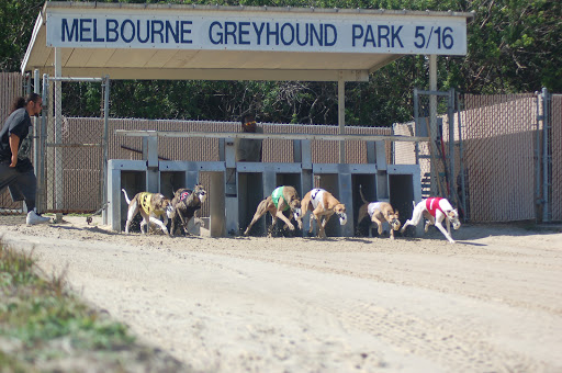 Car Racing Track «Melbourne Greyhound Park casino», reviews and photos, 1100 N Wickham Rd, Melbourne, FL 32935, USA