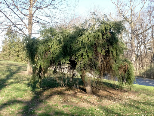 Park «Union Park», reviews and photos, 725 Thompson Ave, Des Moines, IA 50316, USA