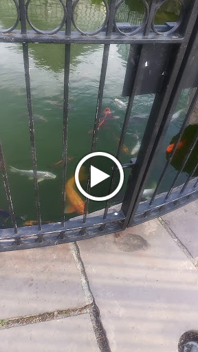 Yacht Club «Belle Isle Yacht Club», reviews and photos, 1142 County Rd S-22-295, Georgetown, SC 29440, USA