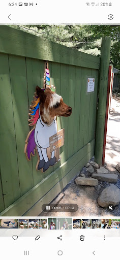 Zoo «Catoctin Wildlife Preserve and Zoo», reviews and photos, 13019 Catoctin Furnace Rd, Thurmont, MD 21788, USA