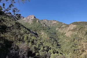 Santuario de la Naturaleza Cerro Poqui image