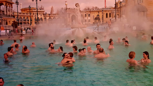 Museum «National Geographic Museum», reviews and photos, 1145 17th Street NW, Washington, DC 20036, USA