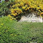 Photo n°1 de l'avis de Buamala. fait le 01/07/2017 à 03:04 sur le  Hotel Nicoletta à Santa Maria Navarrese