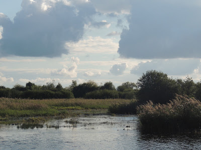 Étang Cistude à Saint-Michel-en-Brenne
