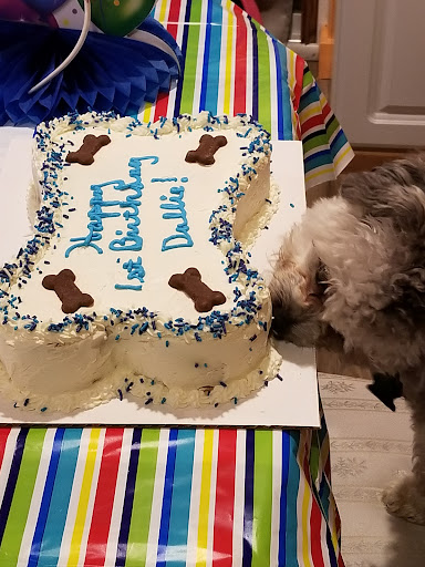 Pet Supply Store «Fuzzybutz Pet Bakery Inc», reviews and photos, 306 State St, St Joseph, MI 49085, USA