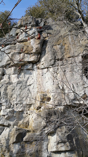 Buffalo Crag