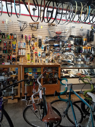 Used bicycle shop Albuquerque