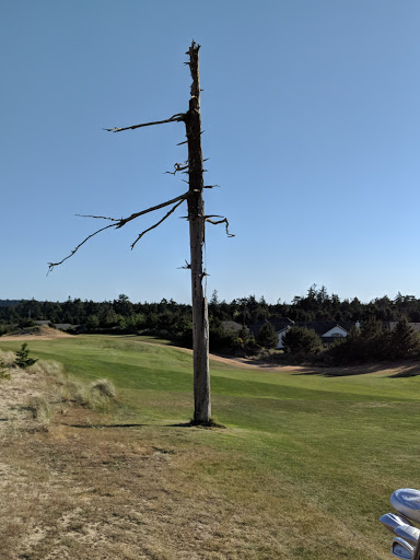 Golf Course «Ocean Dunes Golf Course», reviews and photos, 15 Onadoone Ct, Florence, OR 97439, USA
