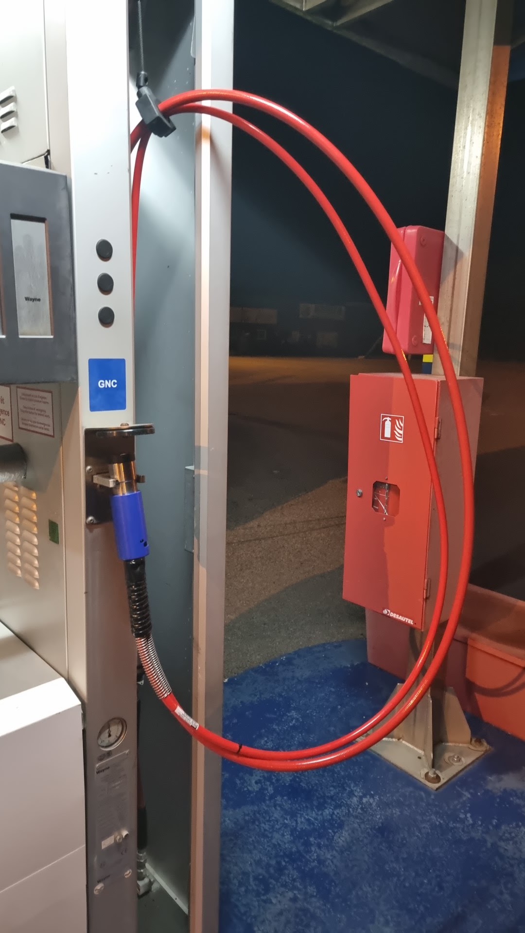 Photo n° 4 de l'avis de malinka. fait le 15/09/2021 à 23:37