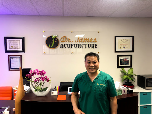 Dr. James Acupuncture image